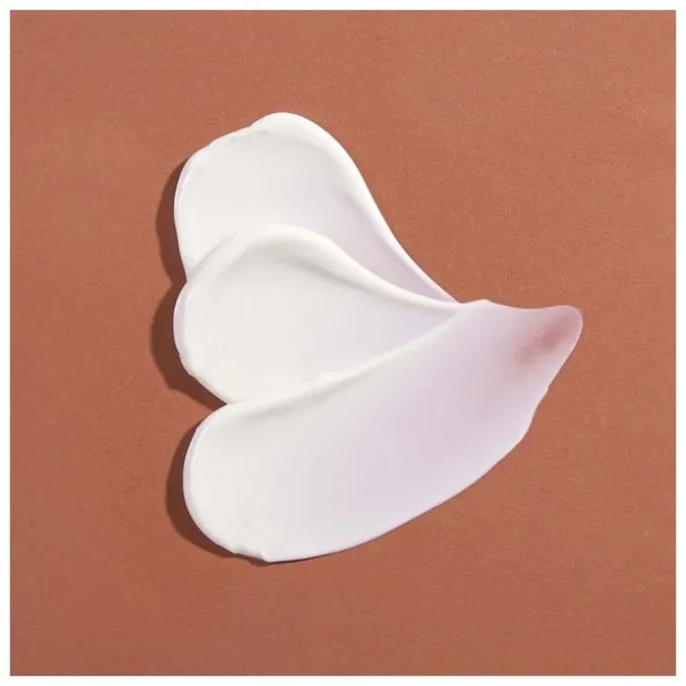 Absolution Le Masque Riche Réconfortant - 50 ml