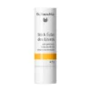 Dr. Hauschka Stick Éclat des Lèvres - 4,9 g