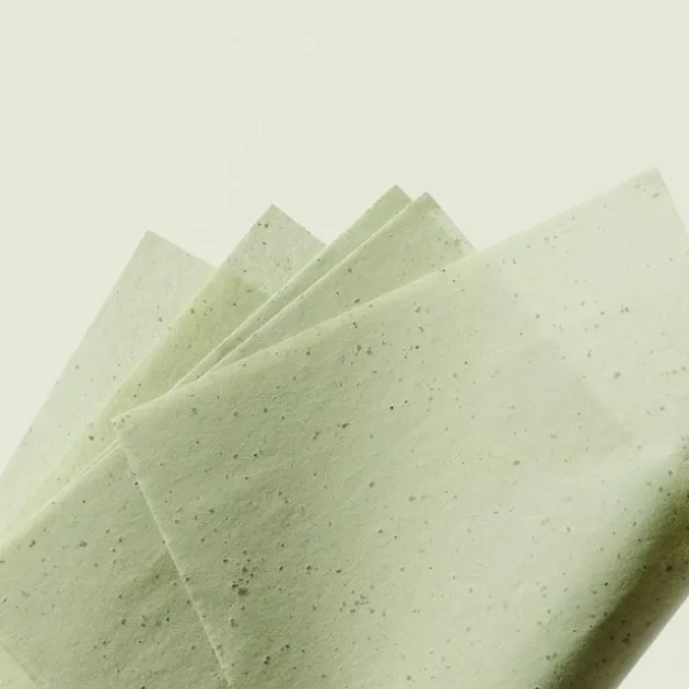 Ere Perez Papier Matifiant Green Tea Oil Control - 50 feuilles