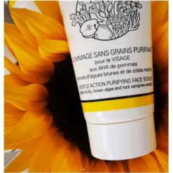 Nominoe cosmétiques Gommage sans grains purifiant - 40 ml