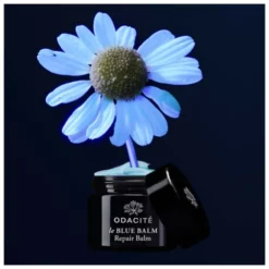 Odacité Baume réparateur Le Blue Balm - 50ml