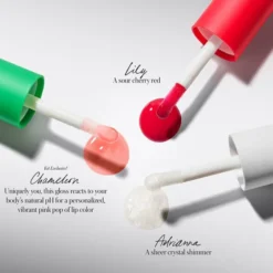 RMS Beauty Coffret The Mini Lip Oil Trio