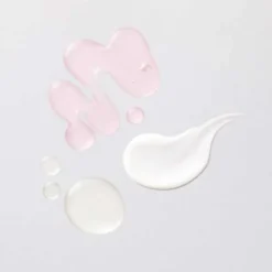 Whamisa Kit découverte
